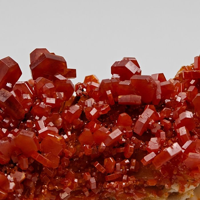 Tormenta de vanadinite rojo sangre sobre barita amarilla Cristales sobre matriz - Altura: 82 mm - Ancho: 41 mm- 85 g